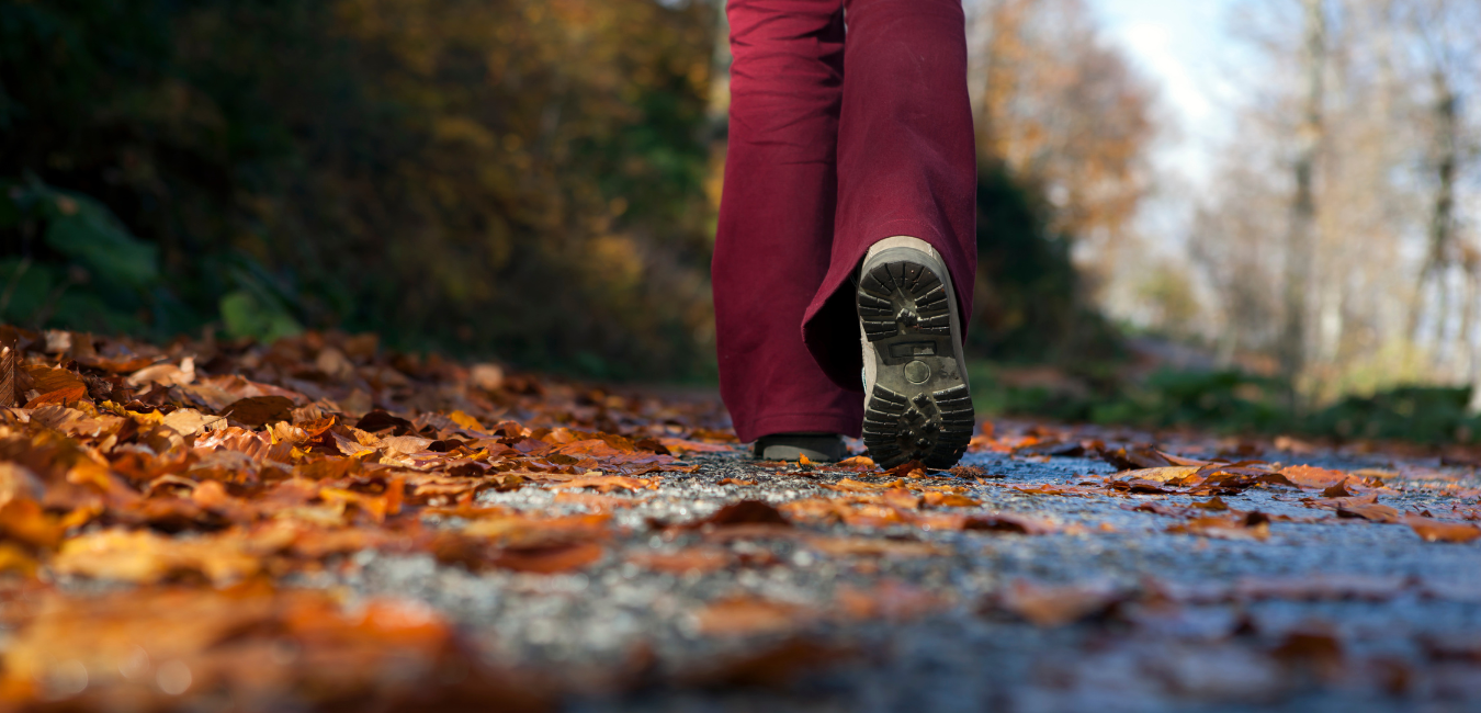 shoes walking along path in nature