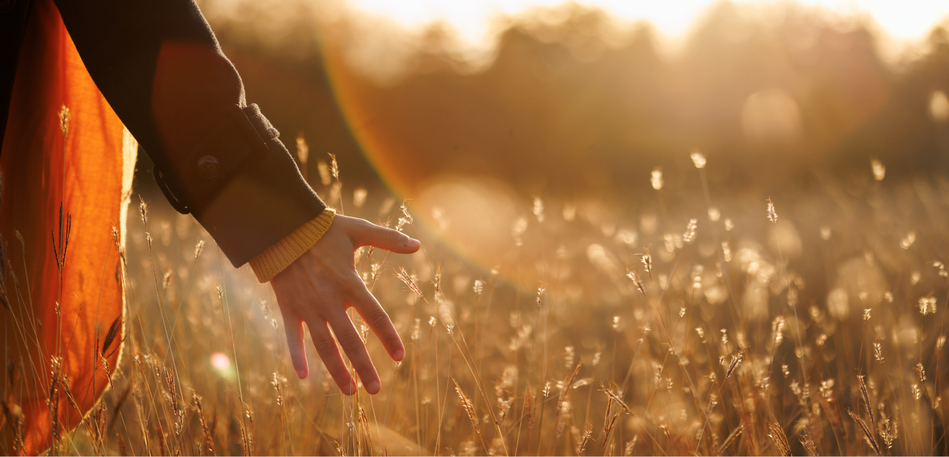 person running hands through long grass as they walk